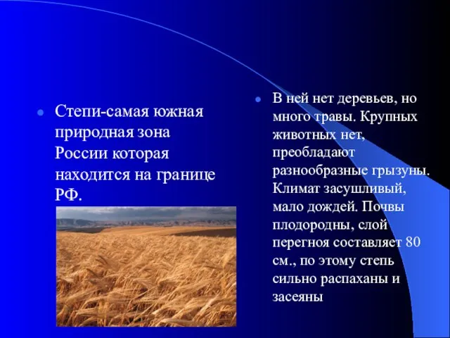 Степи-самая южная природная зона России которая находится на границе РФ. В ней