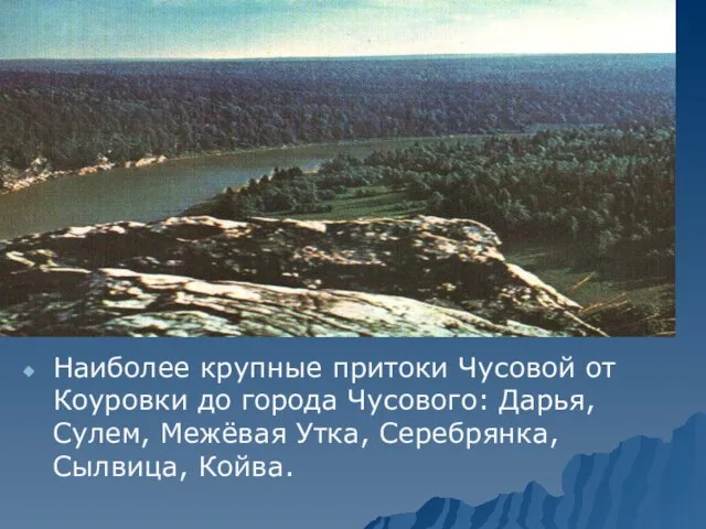 Наиболее крупные притоки Чусовой от Коуровки до города Чусового: Дарья, Сулем, Межёвая Утка, Серебрянка, Сылвица, Койва.