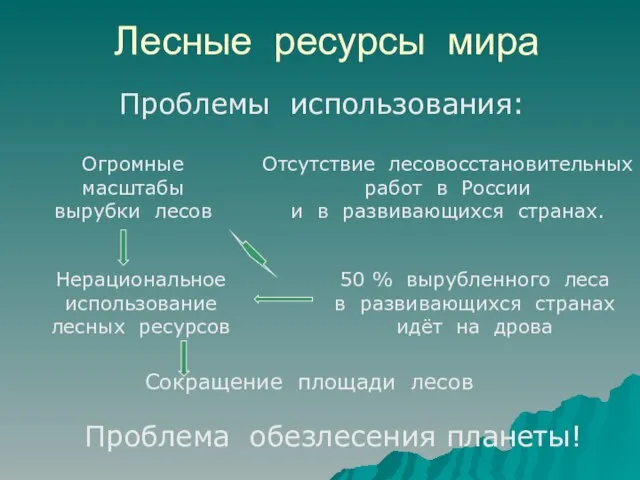 Лесные ресурсы мира Сокращение площади лесов Нерациональное использование лесных ресурсов 50 %