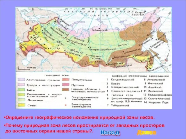 Определите географическое положение природной зоны лесов. Почему природная зона лесов простирается от