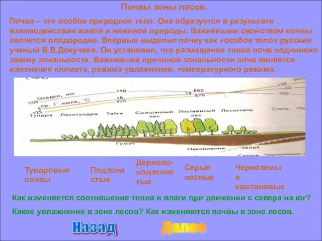 Почвы зоны лесов. Почва – это особое природное тело. Она образуется в