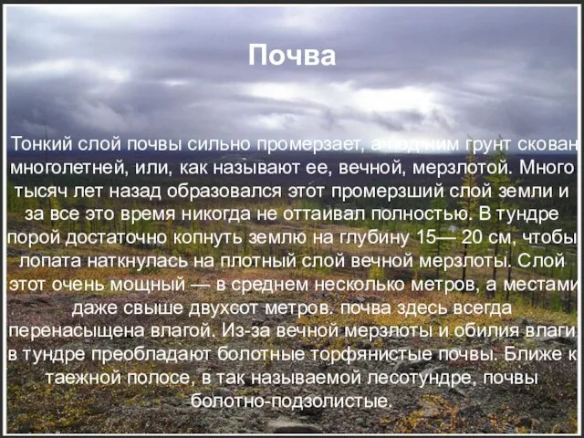 Почва Тонкий слой почвы сильно промерзает, а под ним грунт скован многолетней,