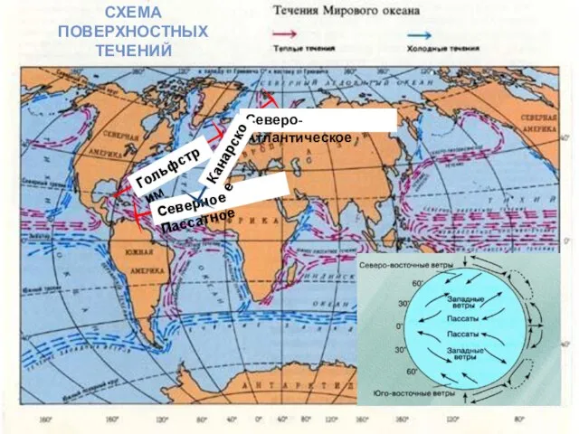Северное Пассатное Гольфстрим Северо-Атлантическое Канарское СХЕМА ПОВЕРХНОСТНЫХ ТЕЧЕНИЙ