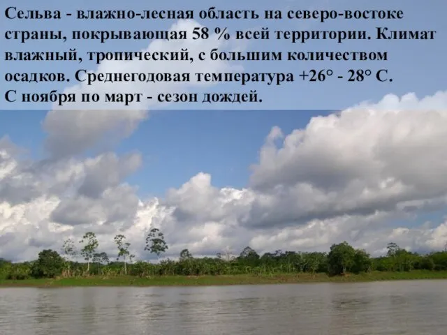 Сельва - влажно-лесная область на северо-востоке страны, покрывающая 58 % всей территории.