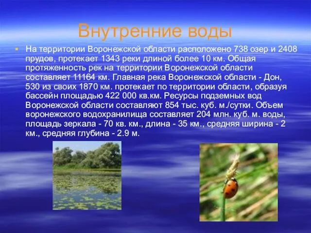 Внутренние воды На территории Воронежской области расположено 738 озер и 2408 прудов,