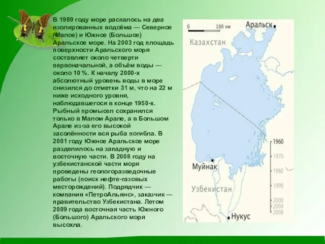 В 1989 году море распалось на два изолированных водоёма — Северное (Малое)