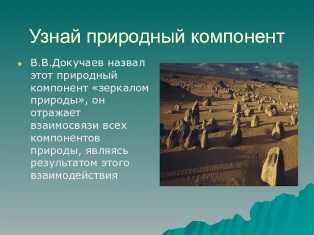 Узнай природный компонент В.В.Докучаев назвал этот природный компонент «зеркалом природы», он отражает