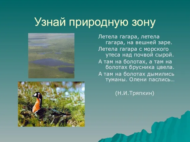 Узнай природную зону Летела гагара, летела гагара, на вешней заре. Летела гагара