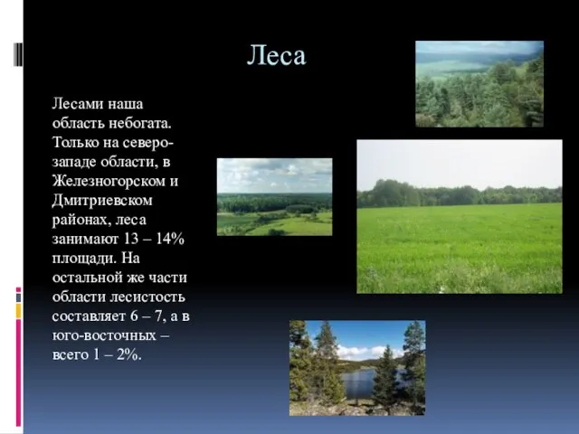 Леса Лесами наша область небогата. Только на северо-западе области, в Железногорском и