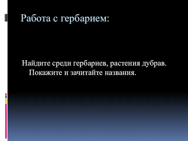 Работа с гербарием: Найдите среди гербариев, растения дубрав. Покажите и зачитайте названия.