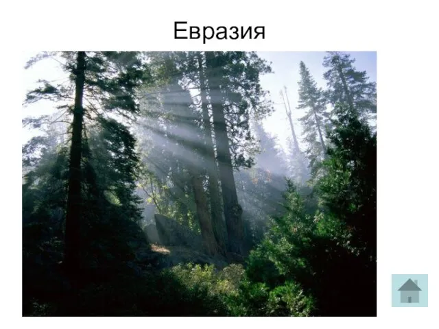 Евразия