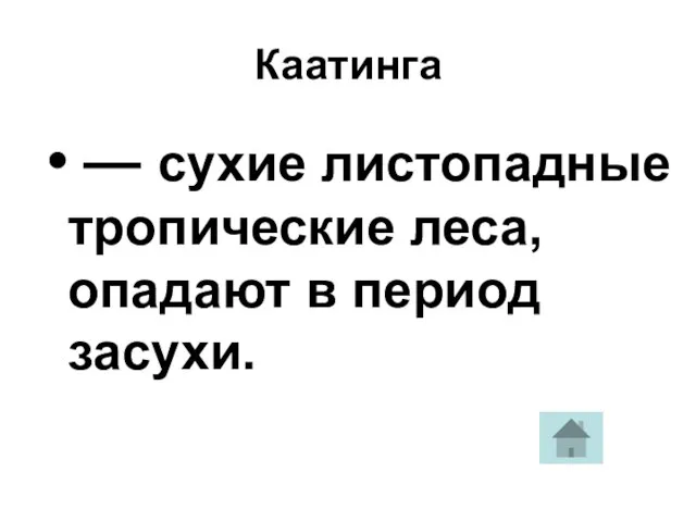 Каатинга — сухие листопадные тропические леса, опадают в период засухи.