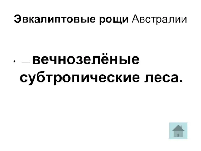 Эвкалиптовые рощи Австралии — вечнозелёные субтропические леса.