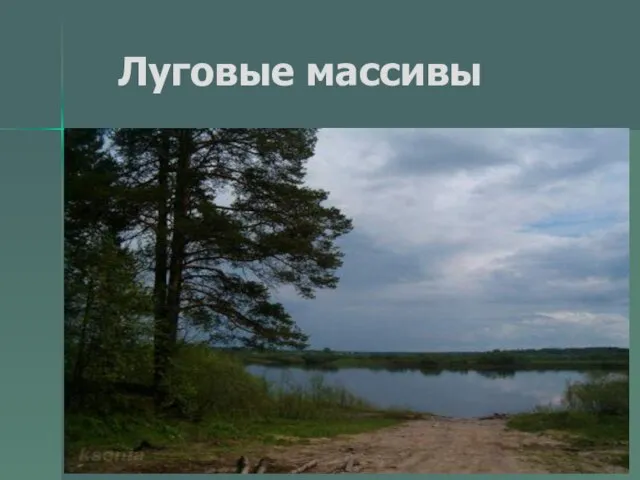 Луговые массивы