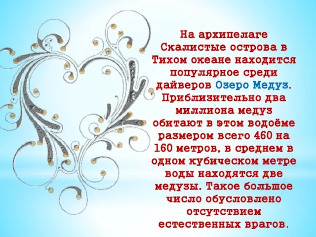 На архипелаге Скалистые острова в Тихом океане находится популярное среди дайверов Озеро