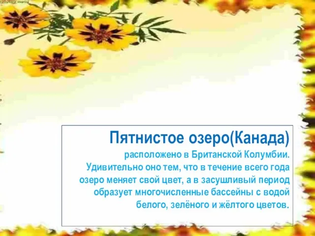 Пятнистое озеро(Канада) расположено в Британской Колумбии. Удивительно оно тем, что в течение