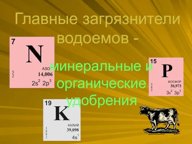 Главные загрязнители водоемов - минеральные и органические удобрения