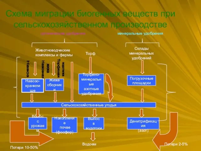 Схема миграции биогенных веществ при сельскохозяйственном производстве органические удобрения минеральные удобрения Животноводческие