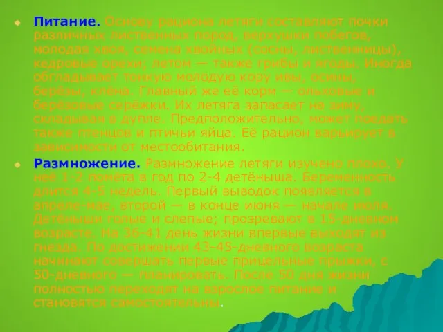 Питание. Основу рациона летяги составляют почки различных лиственных пород, верхушки побегов, молодая