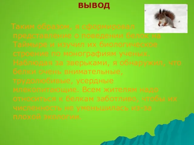 ВЫВОД Таким образом, я сформировал представление о поведении белок на Таймыре и