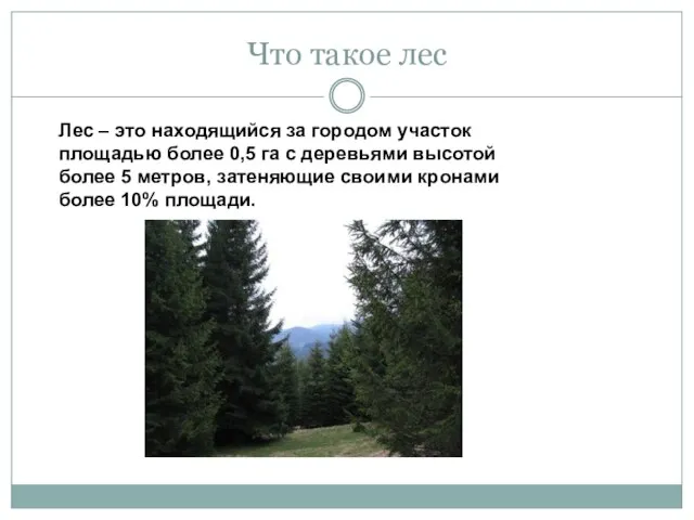 Что такое лес Лес – это находящийся за городом участок площадью более