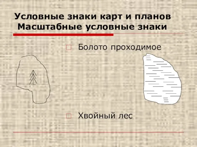 Условные знаки карт и планов Масштабные условные знаки Болото проходимое Хвойный лес