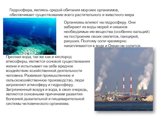 Гидросфера, являясь средой обитания морских организмов, обеспечивает существование всего растительного и животного