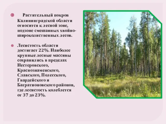 Растительный покров Калининградской области относится к лесной зоне, подзоне смешанных хвойно-широколиственных лесов.