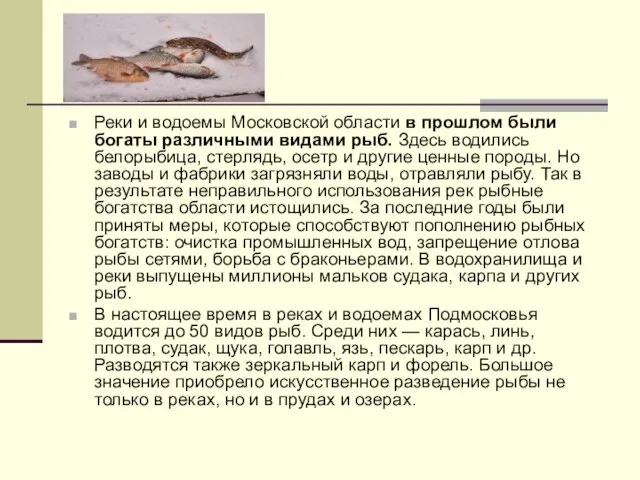 Реки и водоемы Московской области в прошлом были богаты различными видами рыб.