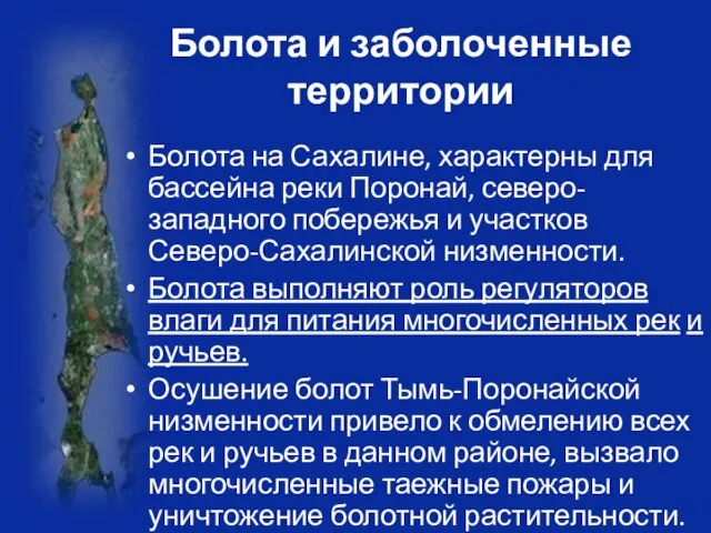 Болота и заболоченные территории Болота на Сахалине, характерны для бассейна реки Поронай,