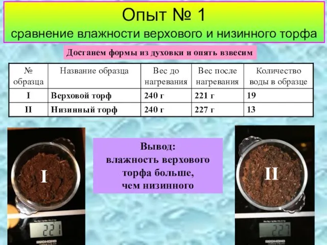 Достанем формы из духовки и опять взвесим Вывод: влажность верхового торфа больше,