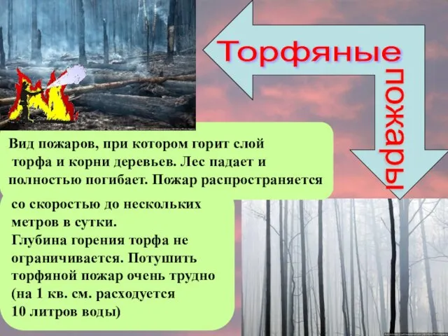 Торфяные пожары со скоростью до нескольких метров в сутки. Глубина горения торфа