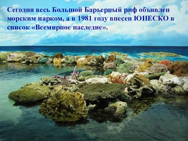 Сегодня весь Большой Барьерный риф объявлен морским парком, а в 1981 году