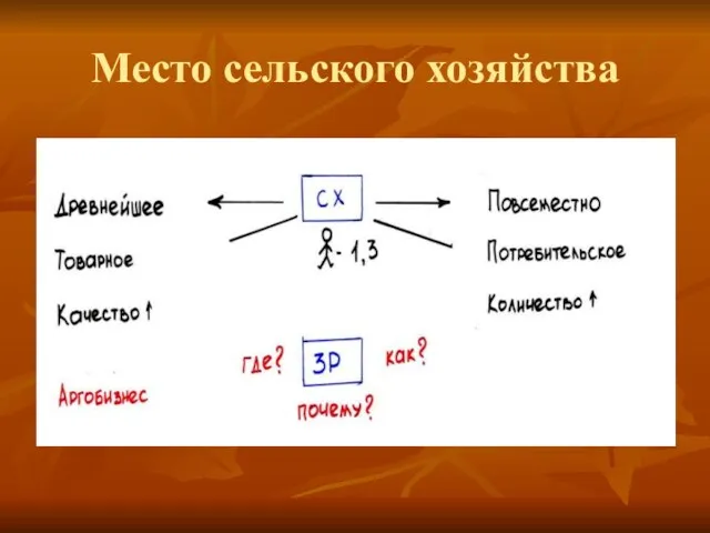 Место сельского хозяйства