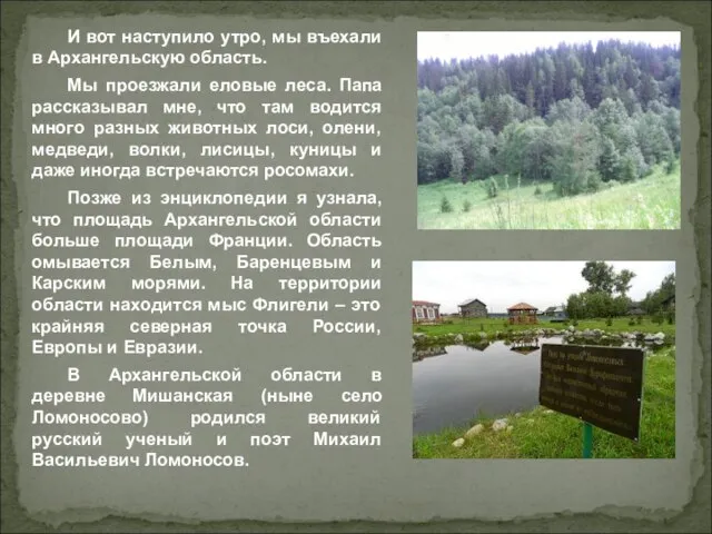 И вот наступило утро, мы въехали в Архангельскую область. Мы проезжали еловые