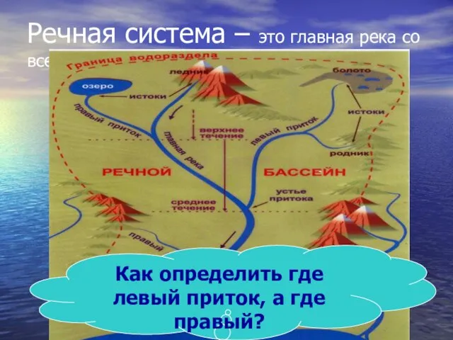 Речная система – это главная река со всеми притоками Как определить где