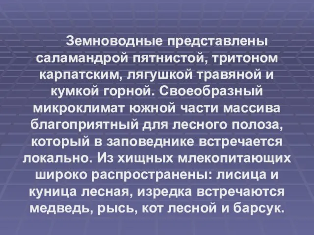 Земноводные представлены саламандрой пятнистой, тритоном карпатским, лягушкой травяной и кумкой горной. Своеобразный