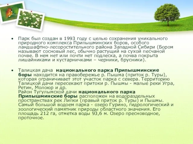 Парк был создан в 1993 году с целью сохранения уникального природного комплекса