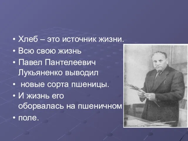 Хлеб – это источник жизни. Всю свою жизнь Павел Пантелеевич Лукьяненко выводил