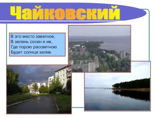 Чайковский В это место заветное, В зелень сосен и ив, Где порою рассветною Будит солнце залив.