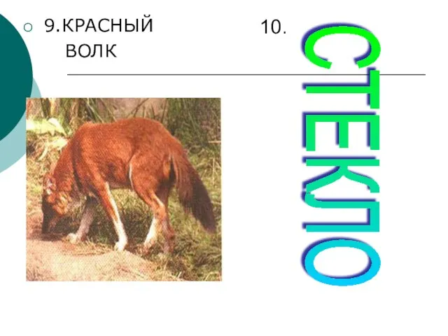 9.КРАСНЫЙ ВОЛК 10. СТЕКЛО