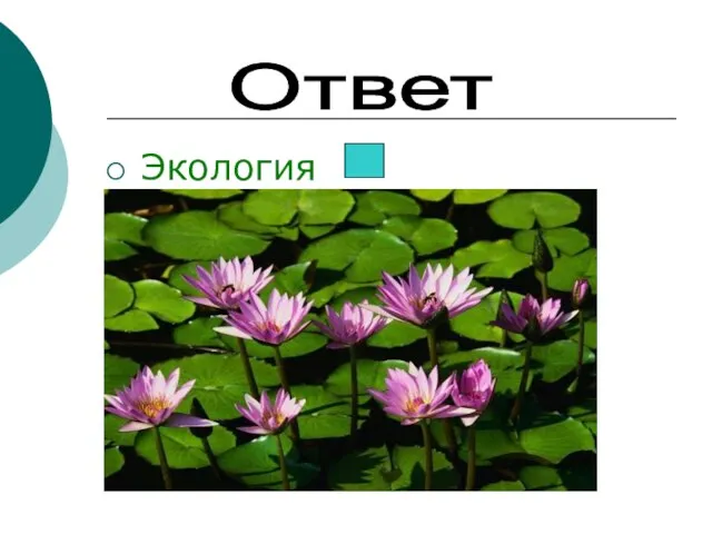 Экология Ответ