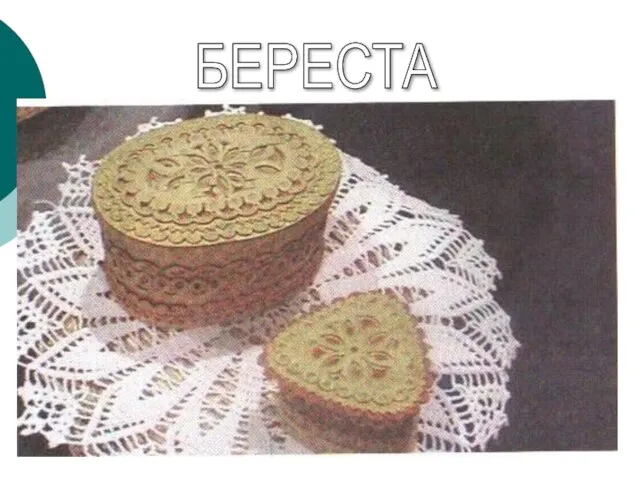 БЕРЕСТА