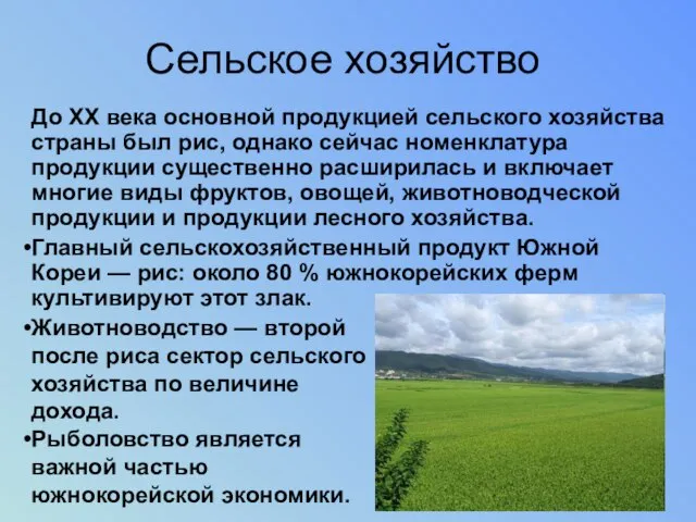 Сельское хозяйство До XX века основной продукцией сельского хозяйства страны был рис,