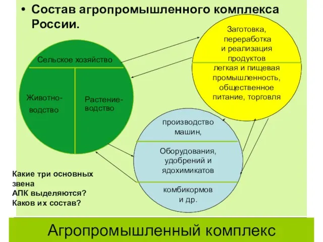 Агропромышленный комплекс Состав агропромышленного комплекса России. Заготовка, переработка и реализация продуктов легкая