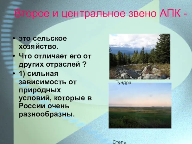 Второе и центральное звено АПК - это сельское хозяйство. Что отличает его