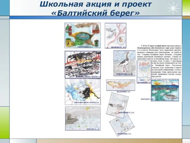 Школьная акция и проект «Балтийский берег»