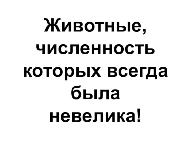 Животные, численность которых всегда была невелика!