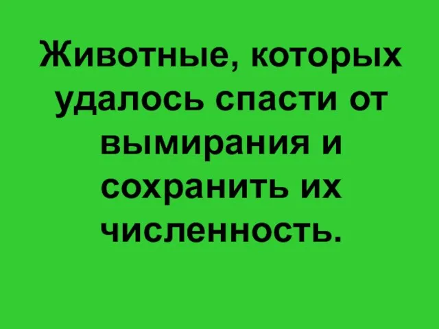 Животные, которых удалось спасти от вымирания и сохранить их численность.