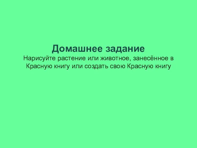 Домашнее задание Нарисуйте растение или животное, занесённое в Красную книгу или создать свою Красную книгу